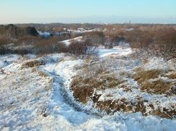 Nieuwjaarswandeling Waterleidingduinen Zandvoort