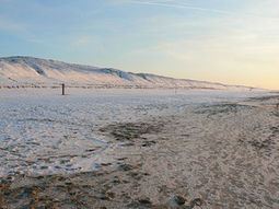 Winter Wandelcafé Strand & Duinen Meijendel Wassenaar