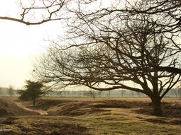 Pasen Single Weekend weg - Mooi Drenthe!