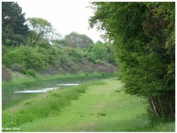 Lente Wandelcafé Waterleidingduinen Zandvoort