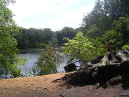Singles Wandelcafé Landgoed De Horsten, Wassenaar