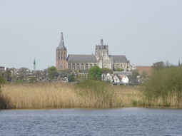 Wandelcafé Den Bosch. Bossche Broek. Singles 35+