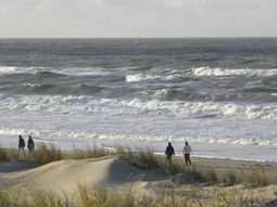 Wandelcafé Strand & Duinen Meijendel Wassenaar