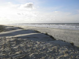 Wandelcafé duinen & strand Zandvoort