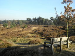 Pinksteren Wandelcafé Zeist. Landgoed Heidestein. Singles 35+