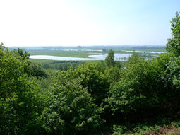 Wandelcafé Rhenen en Grebbeberg.