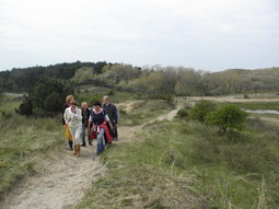 Wandelcafé duingebied Castricum GAAT NIET DOOR