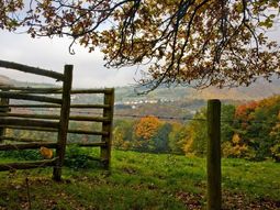 Single herfstweekend Ardennen & Durbuy GAAT NIET DOOR