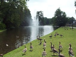 Wandelen Sonsbeek Arnhem. Singles 35+