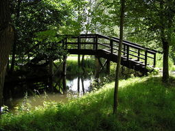 Singles fietsvakantie Spreewald. Duits Venetië. 7 dagen.