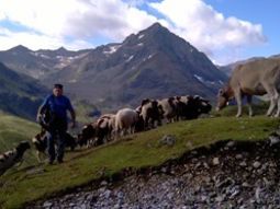 Singles wandelreis Oostenrijk. Ötztal,Tirol. 8 dagen.