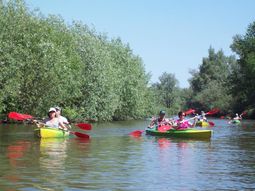 Pinksteren weekendje weg Biesbosch. Singles 40+ GAAT NIET DOOR