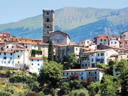Single kampeervakantie Italie. Toscane en Florence. 10 dagen. GAAT NIET DOOR