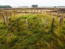 Wandelcafé Riel bij Goirle- Tilburg, Regte Heide