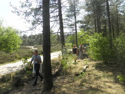 Wandelcafé Landgoed Birkhoven/ Soesterduinen Soest