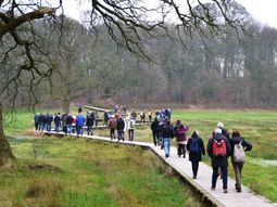 2e Kerstdag Wandelcafe Wageningen. Renkums Beekdal. Singles 40+ 50+ 60+