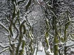 Kerst- Eetcafé en wandeling Arnhem