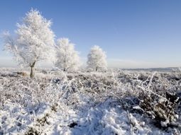 Wandelcafé Ginkelse Heide singles 40+ 50+ 60+