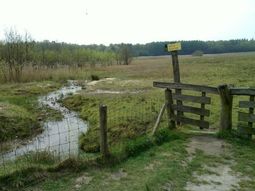 Wandelcafé Epe, Wisselse Veen. Singles 40+50+60+
