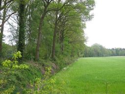 Wandelcafé Den Bosch. Landgoed De Pettelaar. SIngles 40+50+60+