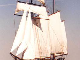 Open dag Krekt Sailing AMSTERDAM