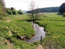 Wandelcafé Liempde. Langs de Dommel!  Wandelen singles 40+ 50+ 60+