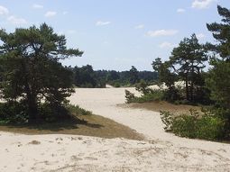 Wandeling Hulshorsterzand