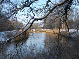 Kerst Wandelcafé Oirschot & dal van de Beerze & Heilige Eik. Wandelen Singles 40+ 50+ 60+