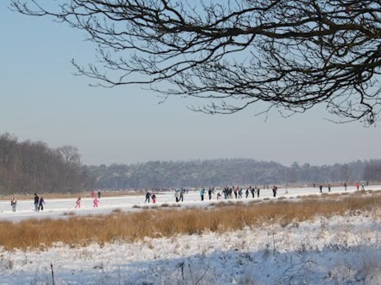 Winter Wandelcafé Leersumse Veld. Vennen, heide, bos. Singles 40+50+60+