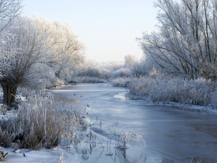 Valentijn Wandelcafé Hollandse Biesbosch. Dordrecht. Wandelen singles 40+ 50+ 60+