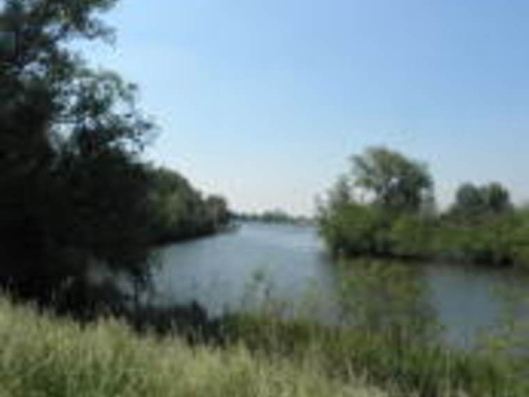 Wandelcafé Hollandse Biesbosch. Dordrecht. Wandelen singles 40+ 50+ 60+