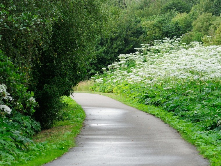 Singles Wandelcafé Rotterdam Hoge en Lage Bergsche Bos
