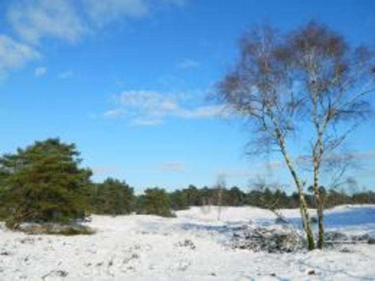 Kerst Wandelcafé Otterlo. Wandelen Singles 40+ 50+ 60+ Nieuwe wandeling