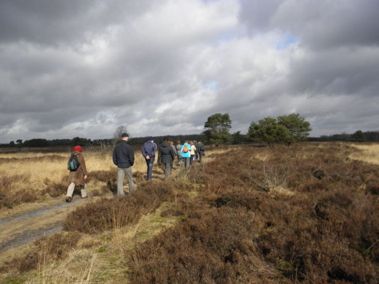 Wandelcafé Vierhouten - Veluwe. Wandelen singles 40+50+60+