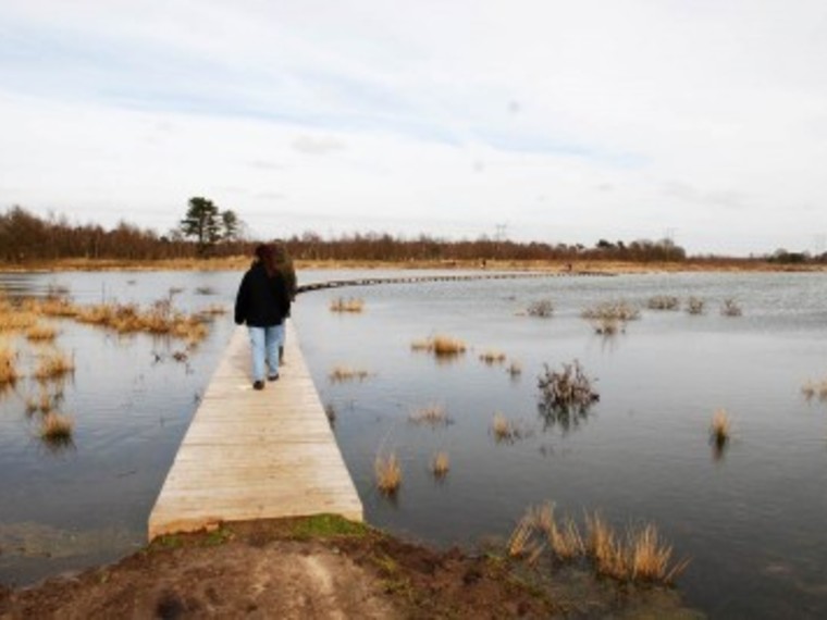 Singles Wandelcafé De Moer/ Tilburg, landgoed Huis ter Heide.