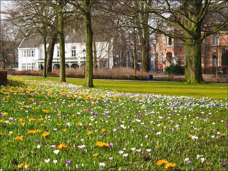 Wandelcafé Den Bosch. Landgoed De Pettelaar. SIngles 40+50+60+
