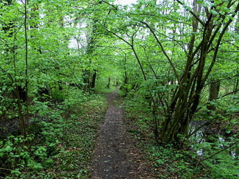 Pasen. Wandelcafé bij Boxtel. De Geelders. Wandelen singles 40+ 50+ 60+