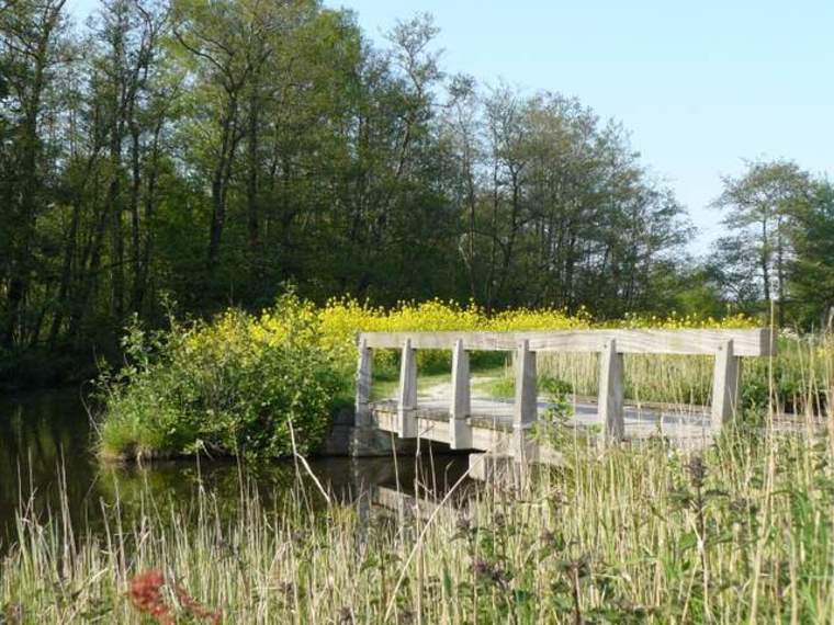 Wandelcafé Amsterdamse Bos. Singles 35+