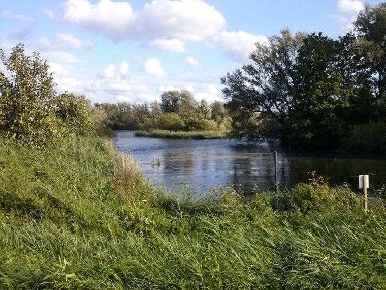 Wandelcafé Nootdorp, Biespolder. Wandelen singles 40+50+60+
