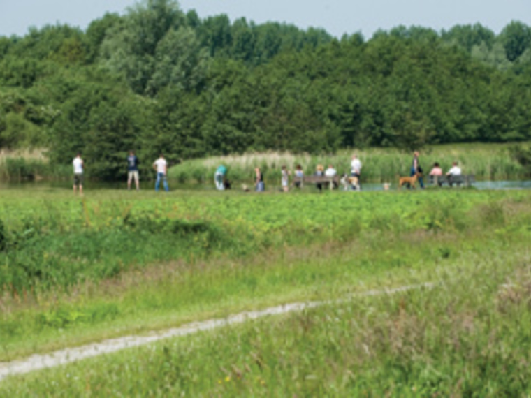 Singles Wandelcafé Rotterdam Hoge en Lage Bergsche Bos