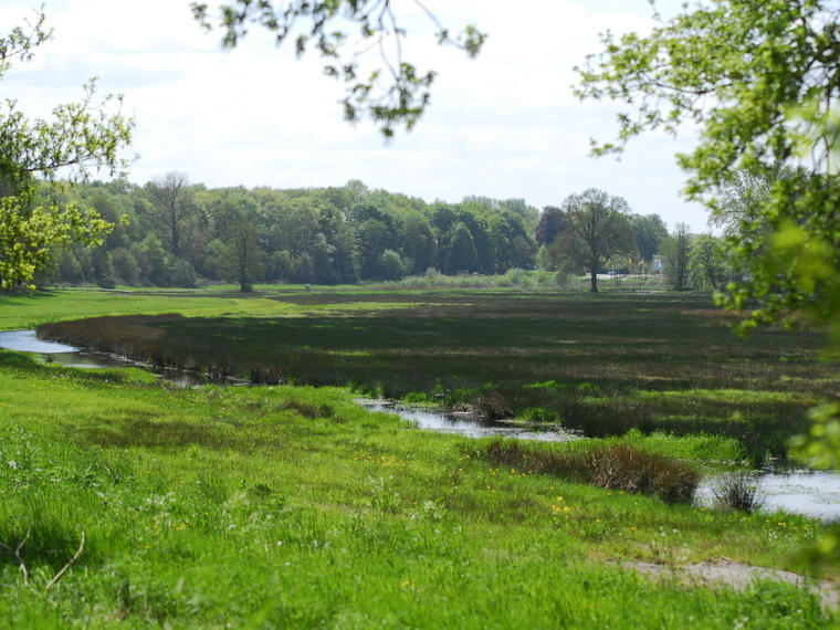 Wandelcafé Renkums Beekdal & beeldentuin &muziek. Wandelen Singles 40+50+60+.