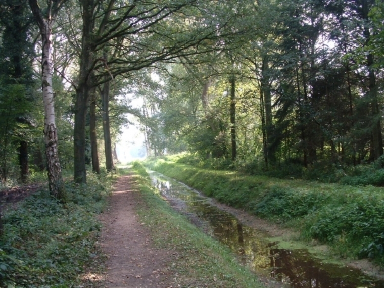 Wandelcafé Oirschot. De Mortelen. Wandelen singles 40+ 50+ 60+
