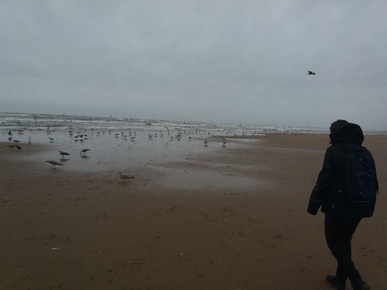 Pierewaaien Scheveningen