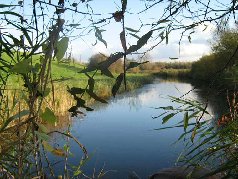 Herfstwandeling Biesbosch Dordrecht