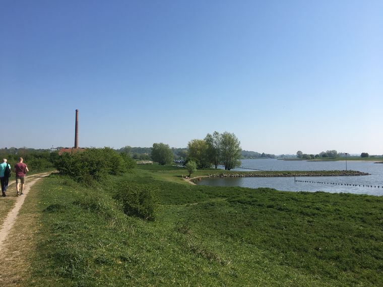 SE Nieuwjaars Wandelcafe Wageningen. Wandelen Singles 40+ 50+ 60+