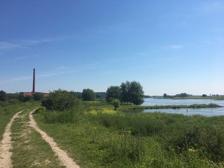 GAAT NIET DOOR SE  Wandelcafe singles  Wageningen. Uiterwaarden, bossen, arboretum.