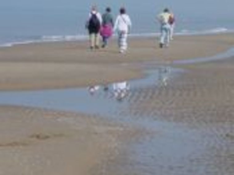 Wandelen Den Haag Door bos en duin naar zee. Tip!