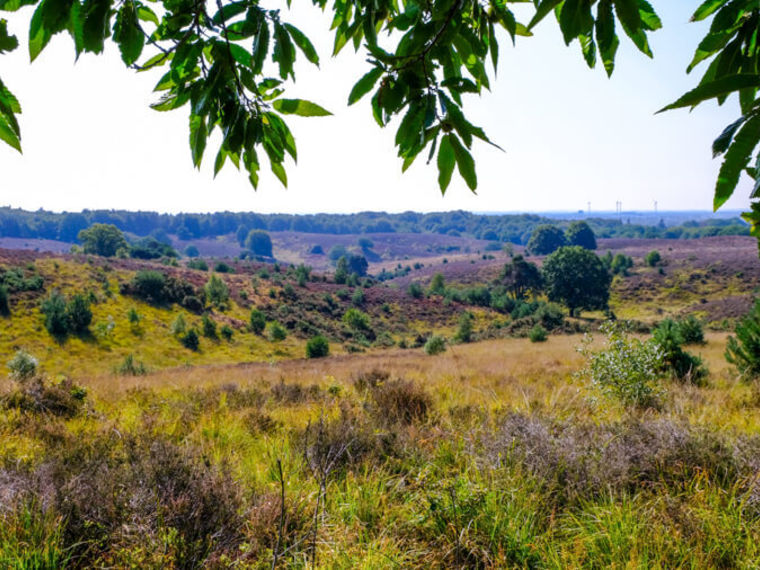 Naberpad Posbank , Kasteel Middachten en Rhederoord 13km te Rheden.