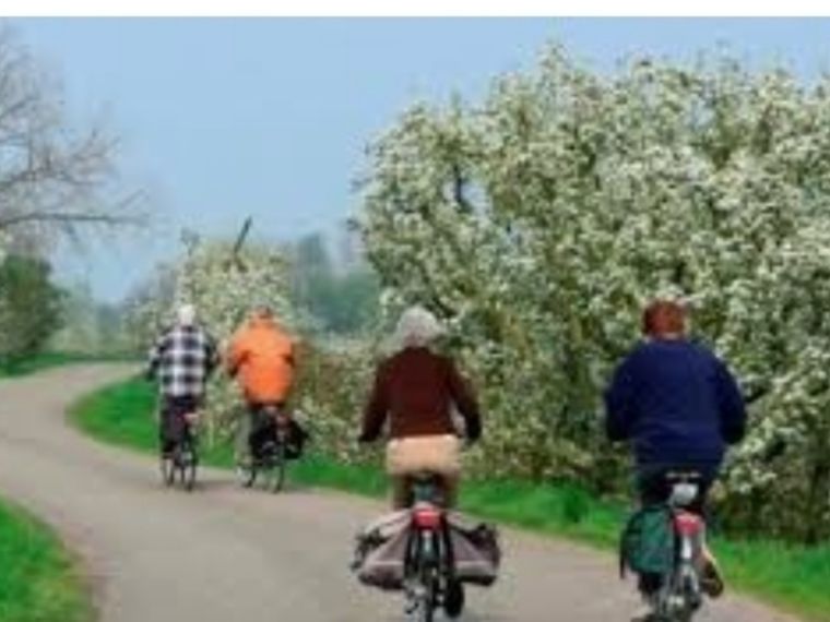 Bloesem fietstocht ( huurfietsen) Cothen