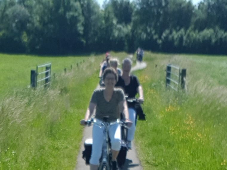 Rijn-Limes fietstocht ( met huurfietsen )